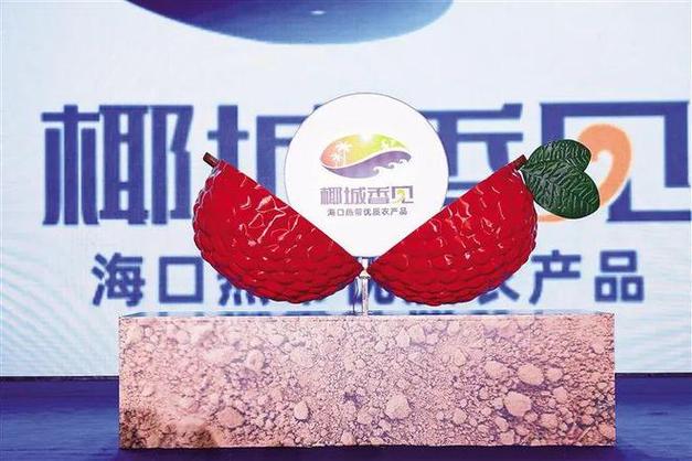 芒种关注海口持续擦亮椰城香见农产品区域公用品牌让椰城味道香飘四海